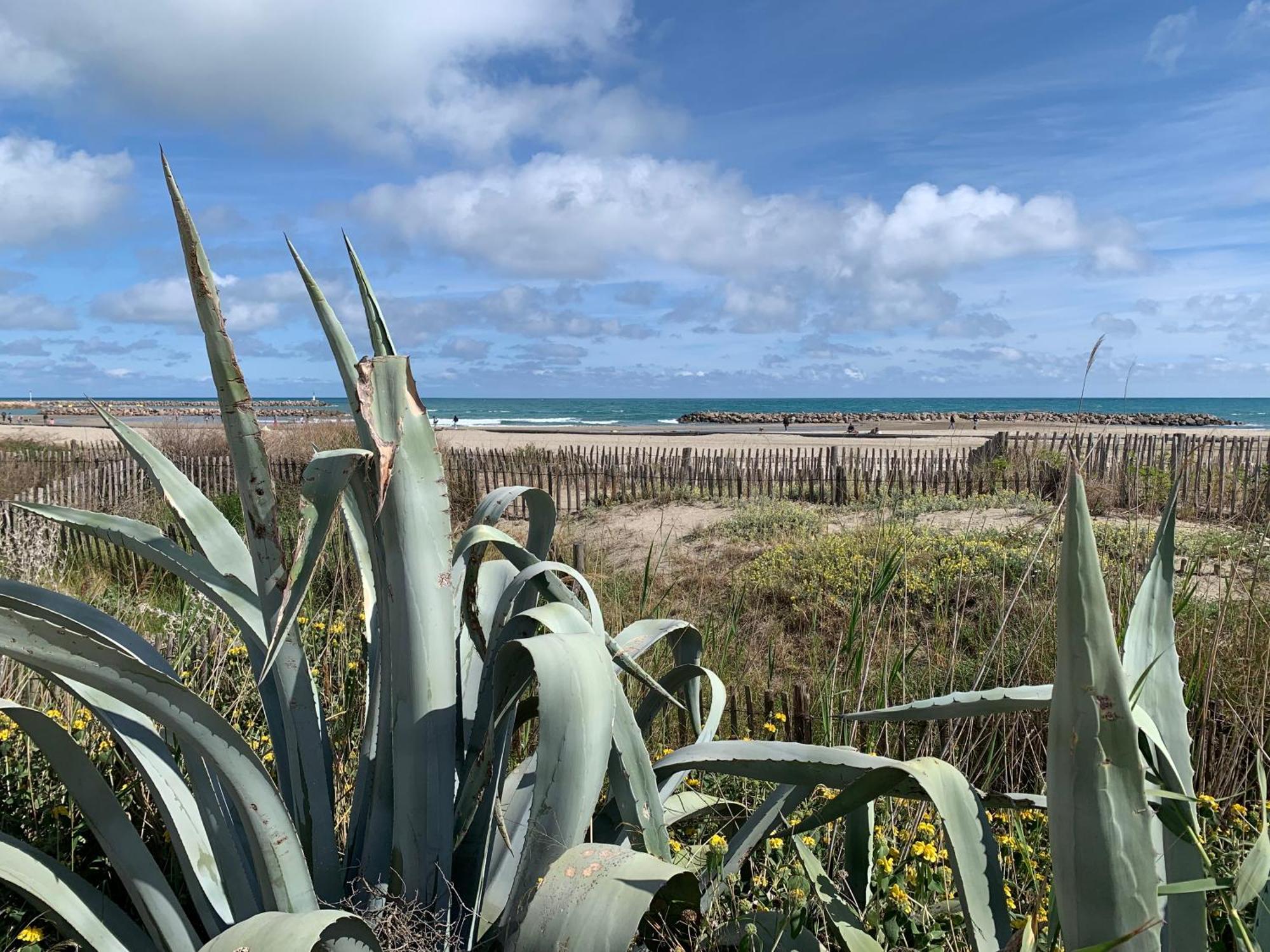 Sete - Vue Mer Imprenable, Piscine, Calme Eksteriør billede